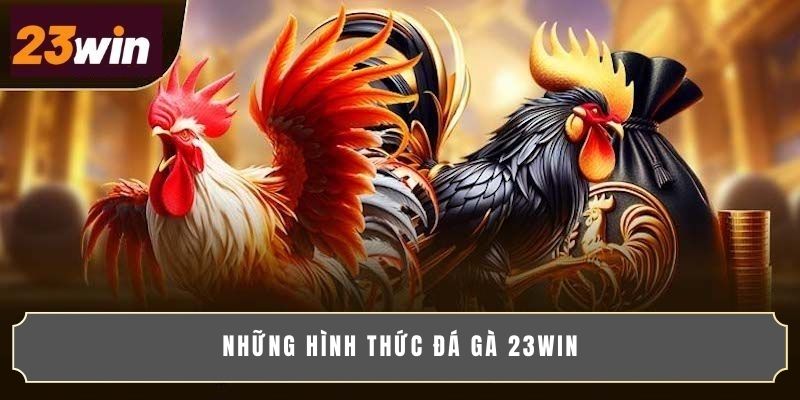 Những hình thức đá gà 23WIN