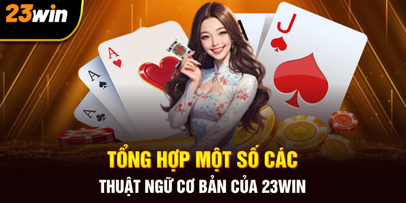 Tổng hợp một số các thuật ngữ cơ bản của 23Win