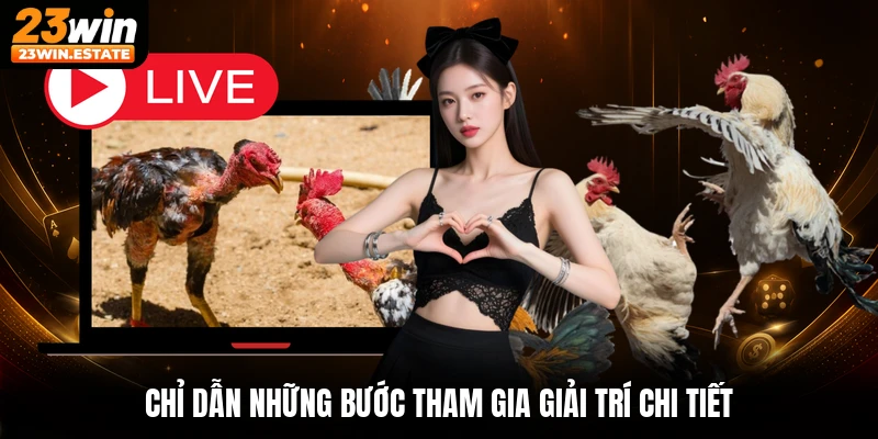 Chỉ dẫn những bước tham gia giải trí chi tiết